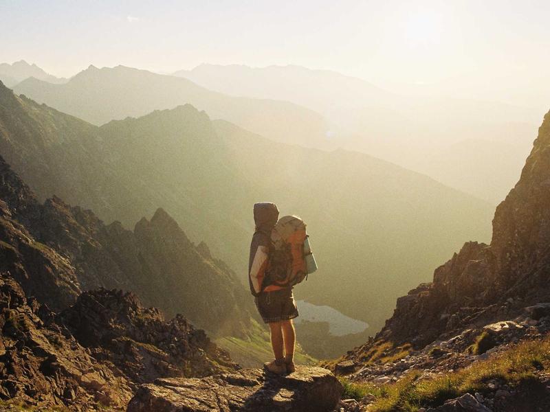 Приучение котёнка к лотку